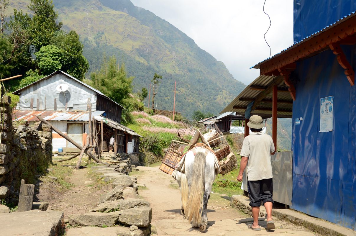 Nayapul To Ghorepani 21 Walking Through Banthanti 